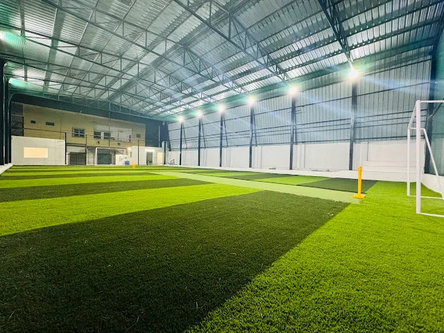 Turf photo 2