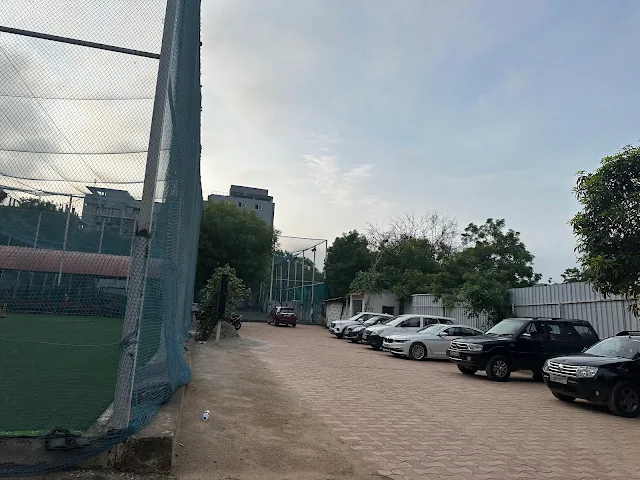 Turf photo 5