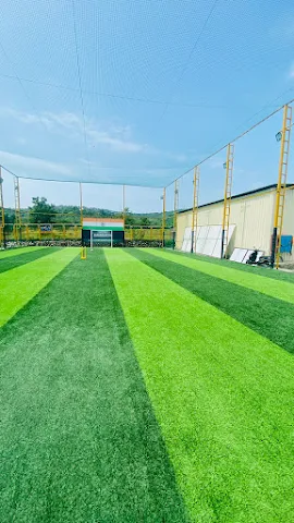 Turf photo 2