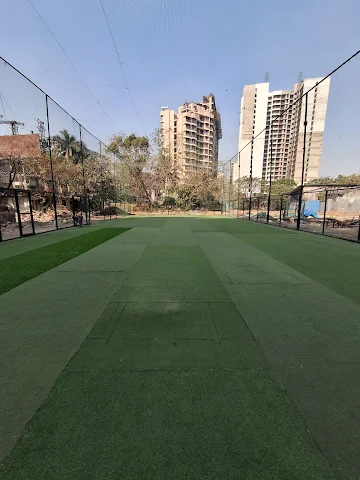 Turf photo 2