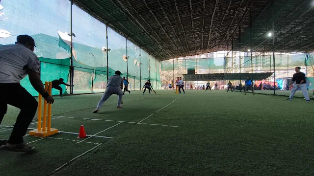 Turf main photo