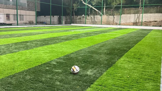 Turf photo 8