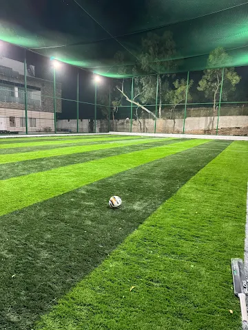 Turf photo 3