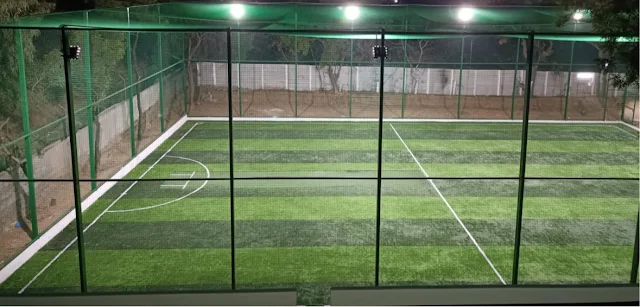 Turf photo 2