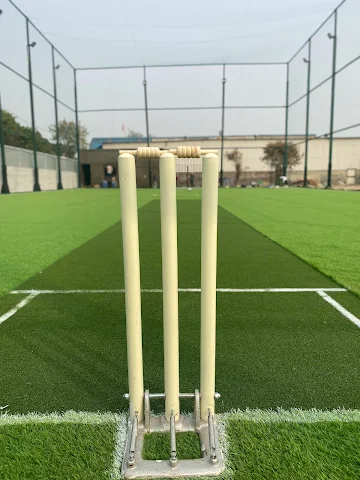 Turf photo 2