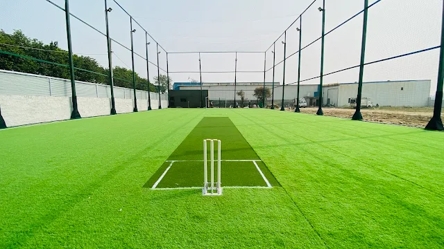 Turf main photo