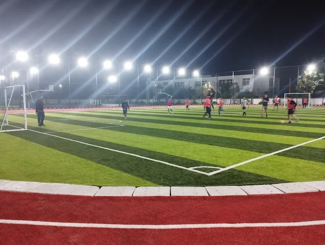 Turf photo 6