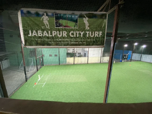 Turf photo 2