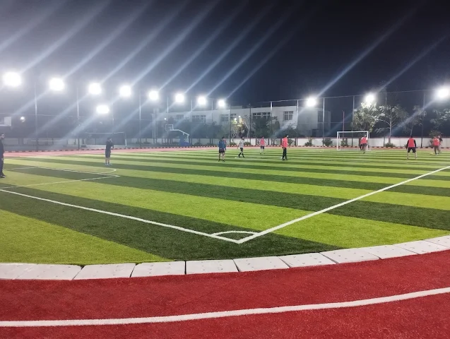 Turf photo 3