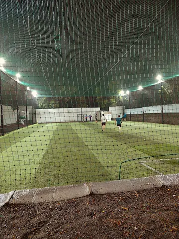 Turf photo 3