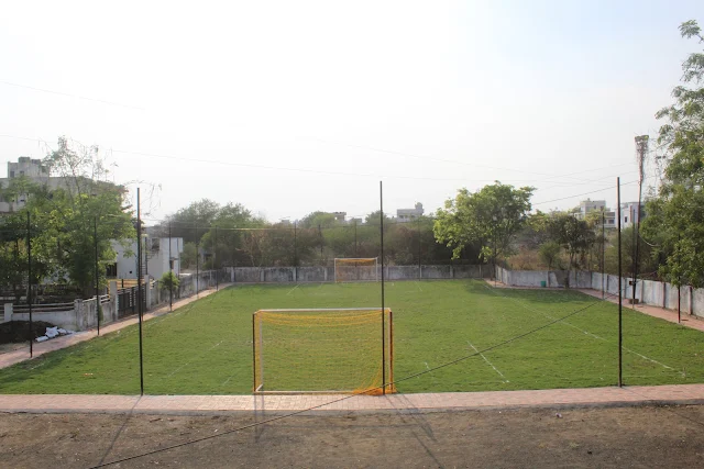 Turf photo 3