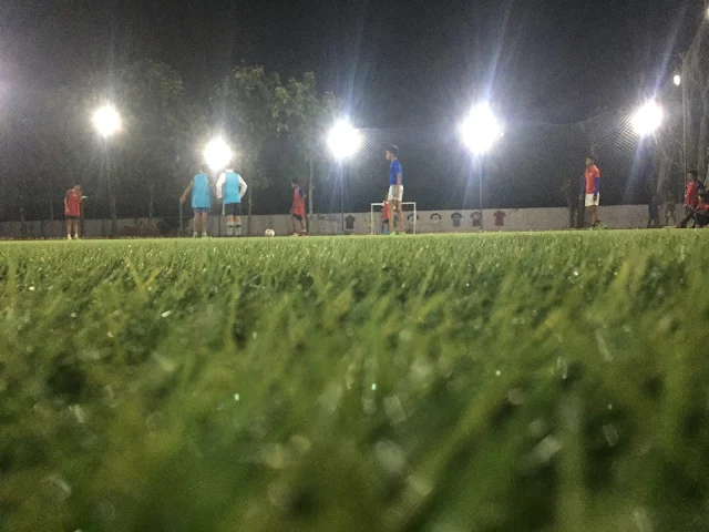 Turf photo 4