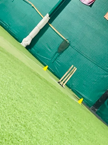 Turf photo 3