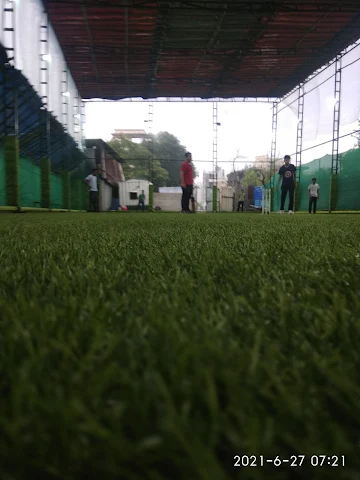 Turf photo 6