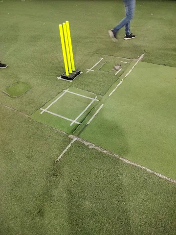 Turf photo 2