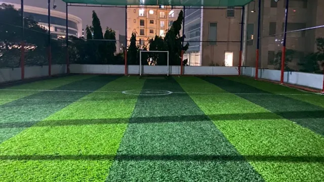 Turf photo 2