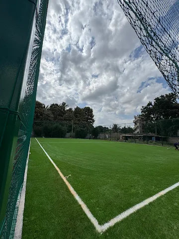Turf photo 4