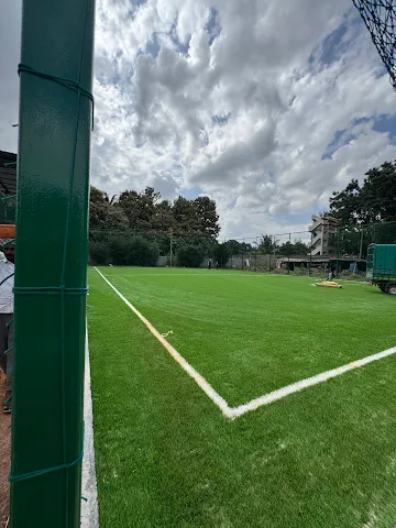 Turf photo 3
