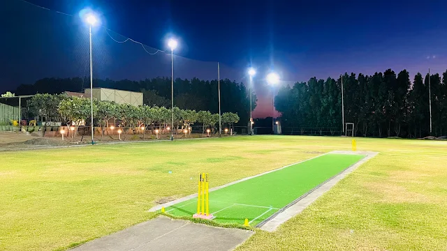 The Vajdi Box Cricket