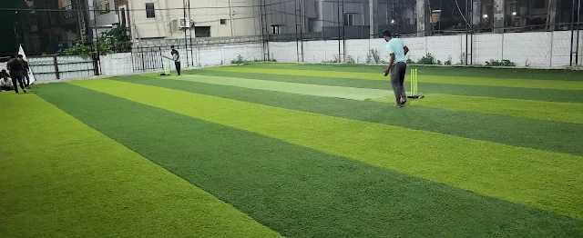 Turf photo 4