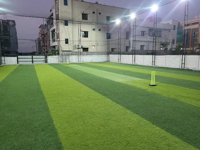 Turf photo 6