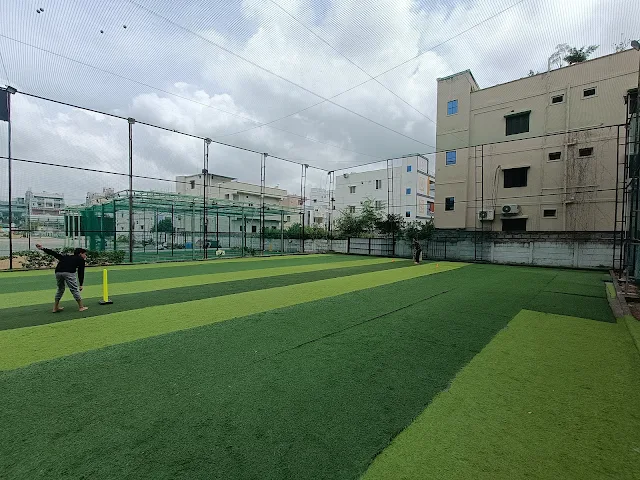 Turf photo 5