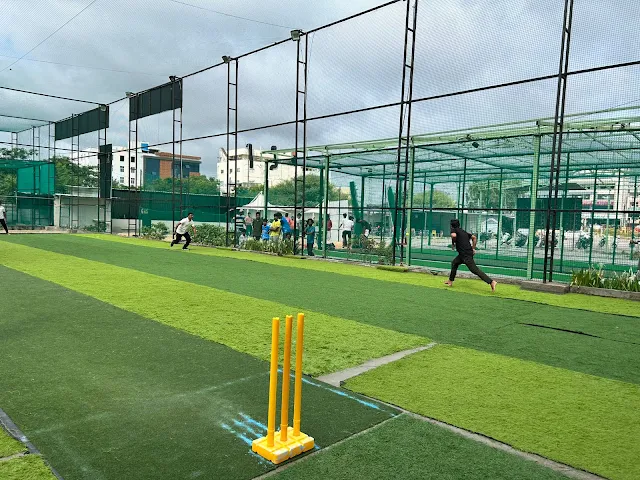 Turf main photo