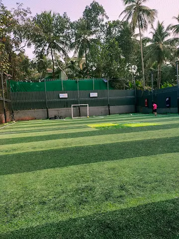 Turf photo 2
