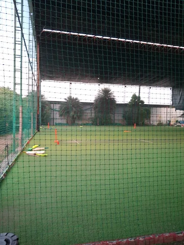 Turf photo 6