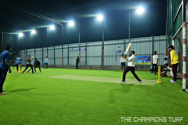 Turf photo 2
