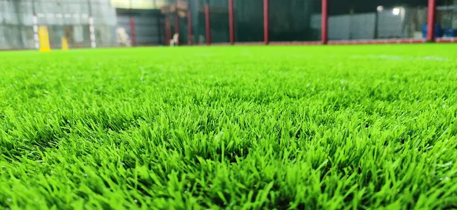 Turf photo 4