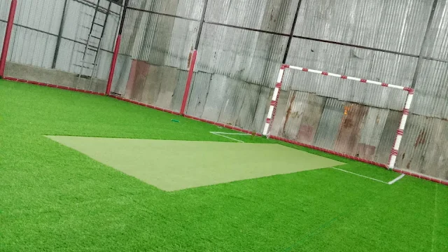 Turf photo 5