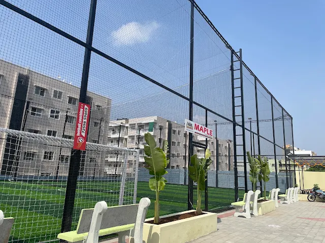 Turf main photo