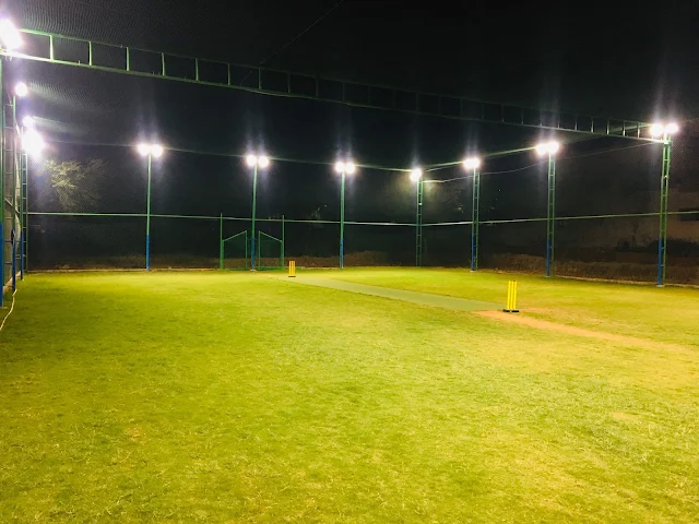 Turf photo 2
