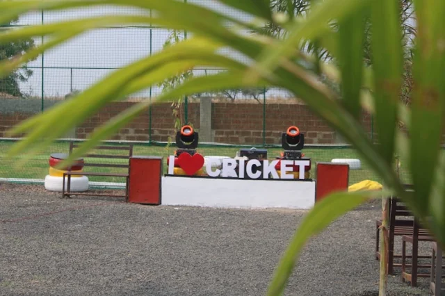 SMH ARENA, THE BOX CRICKET GROUND