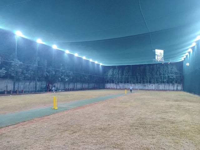 Turf photo 3