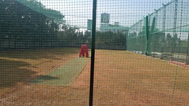 Turf photo 2