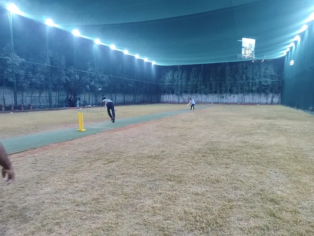 Turf photo 4