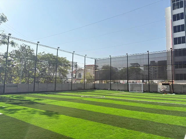 Turf photo 2