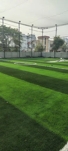 Turf photo 4