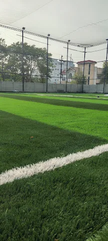 Turf photo 3