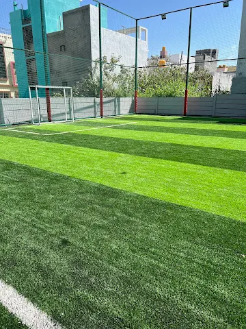 Turf photo 5