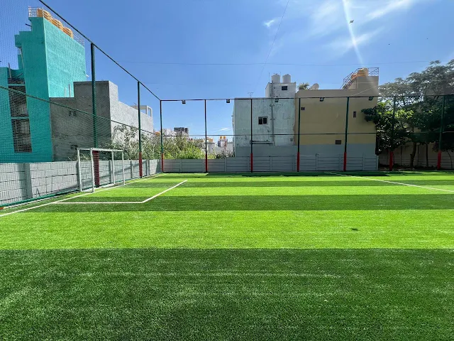 Turf photo 2