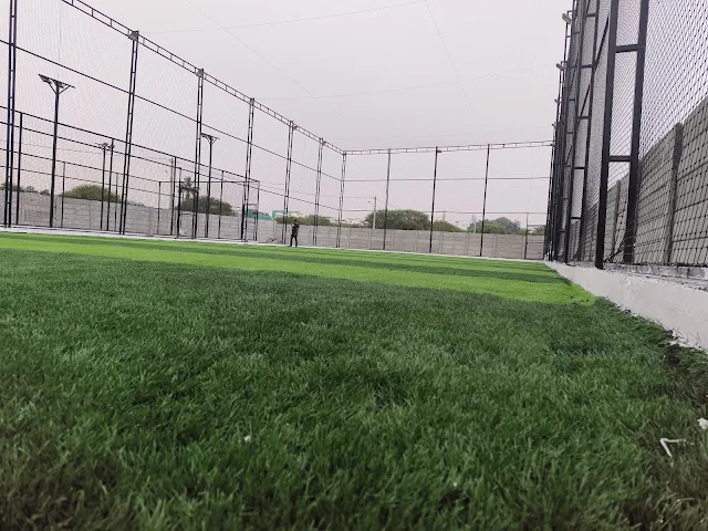 Turf photo 7