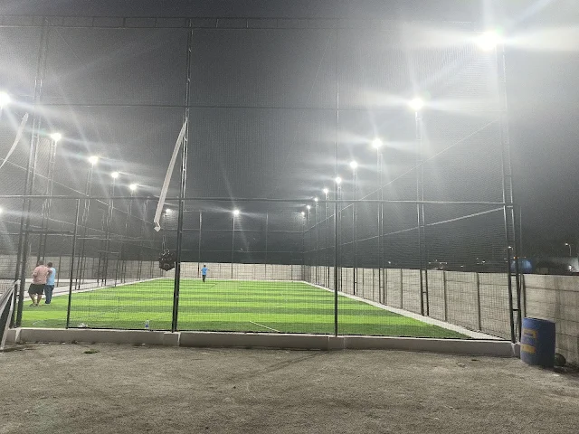 Turf photo 8