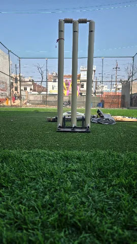 Turf photo 5