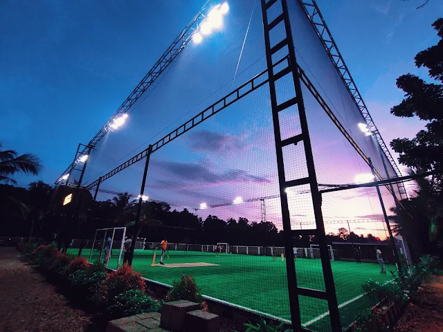 Turf photo 7