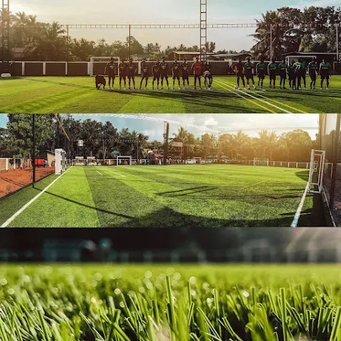 Turf photo 4