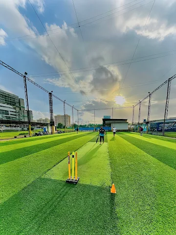 Turf photo 3