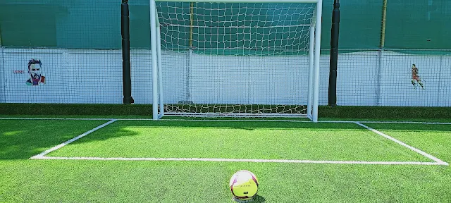 Turf photo 5